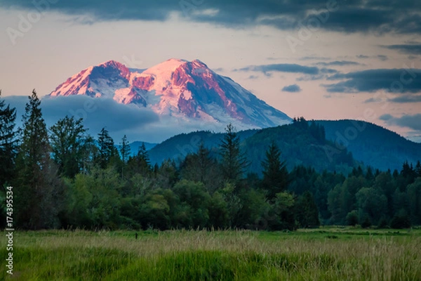 Obraz Mt. Ranier viewed from a meadow.