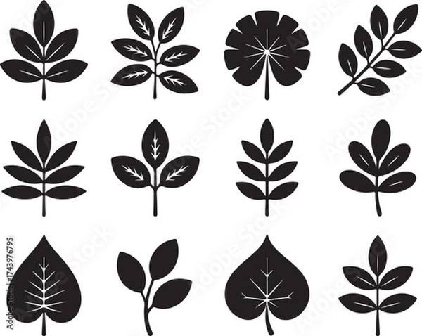 Obraz Leaf Silhouette Set Botanical Shapes Isolated on Transparent Backdrop
