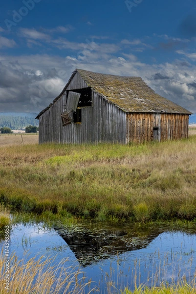 Obraz "Idaho Reflections"