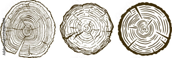 Obraz Three distinct tree stump cross sections showing growth rings and natural imperfections in a row