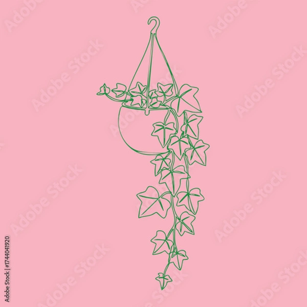 Fototapeta Hanging Ivy Plant in a Pot with a Soft Pink , Featuring Green Vines and Heart-Shaped Leaves
