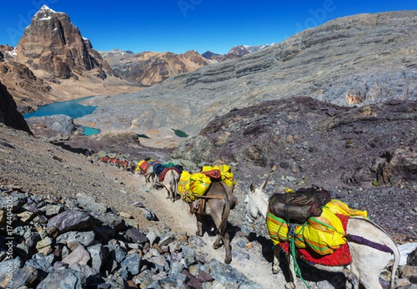 Fototapeta Caravan in Cordillera