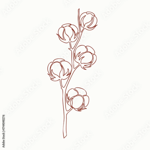 Fototapeta Single stylized line drawing of a cotton plant with multiple fluffy seed pods on a tall stem