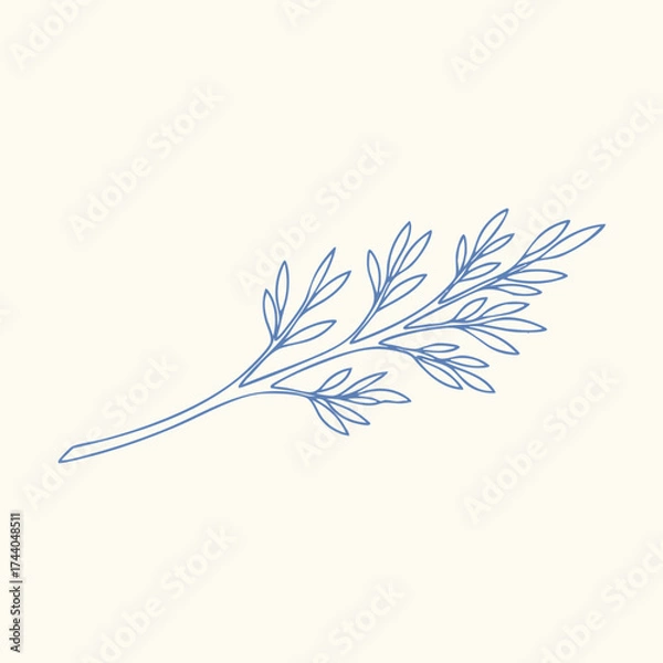 Fototapeta Delicate sprig of slender leaves with fine detailing and a graceful curve, set against a neutral for elegant presentation