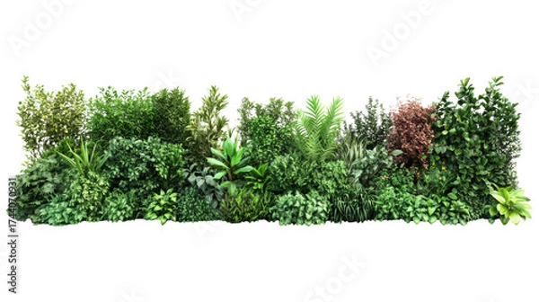 Obraz Lush Green Hedge: A vibrant, dense hedge comprised of various plant species, showcasing a rich tapestry of greens and textures, perfect for adding natural beauty to design.