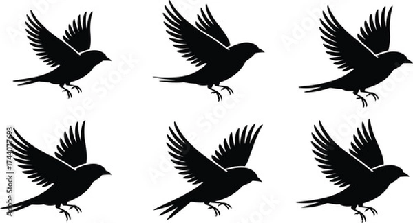 Fototapeta Elegant flying bird silhouettes for modern logo or icon designs