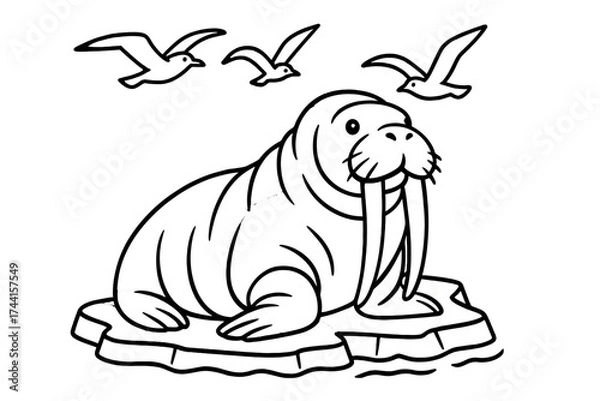 Fototapeta Walrus on Ice. Arctic wildlife coloring page: walrus with giant tusks resting on ice, sea gulls flying above, black and white
