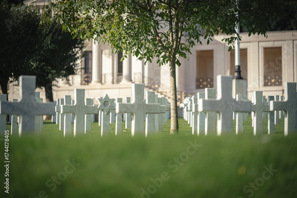 Obraz Croix étoilée seule au milieu des autres au cimetière américain de Suresnes près de Paris