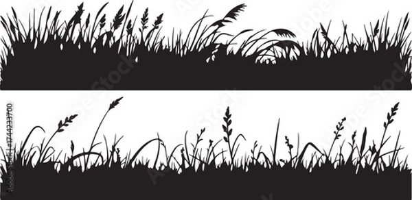 Fototapeta Illustration of silhouette of grass, vector illustration design