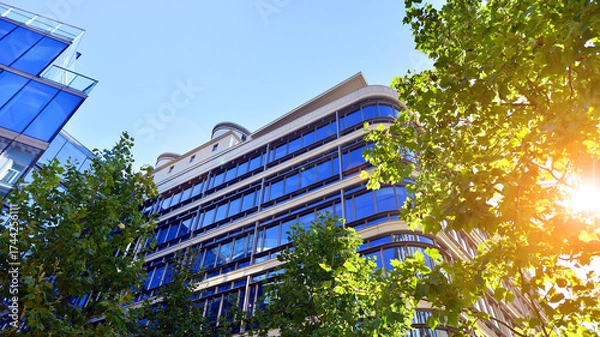 Fototapeta Glass office building surrounded with green trees.  Eco-friendly office building. Sustainable architecture of city reducing heat carbon dioxide modern city environment.