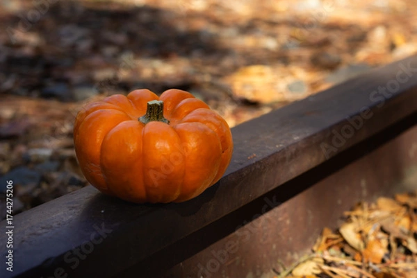Fototapeta Bright Orange Pumpkin Resting on a Wooden Rail Surrounded by Fallen Leaves During Autumn in a Serene Park Setting