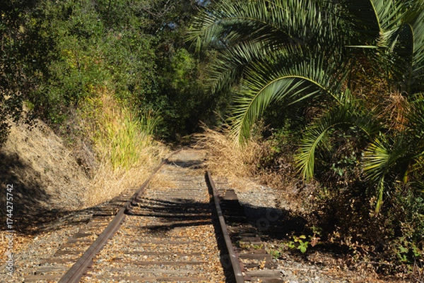 Fototapeta Quiet Railway Track Surrounded by Lush Greenery in a Rural Area on a Sunny Day