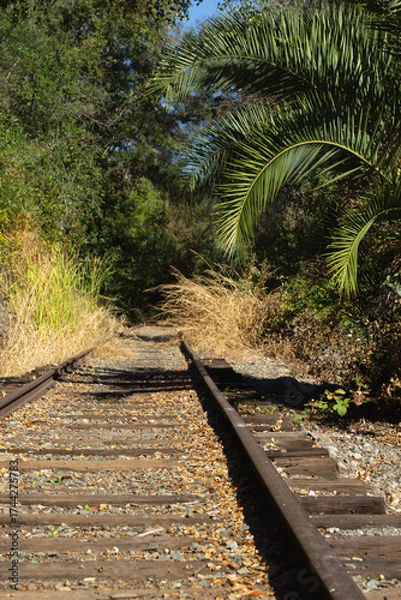 Fototapeta Exploring an Overgrown Railway Track Surrounded by Lush Vegetation on a Sunny Day
