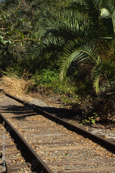 Fototapeta Train Tracks Surrounded by Lush Greenery in a Tranquil Outdoor Setting During the Day