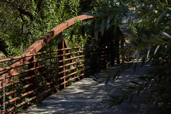 Fototapeta Quiet Footbridge Surrounded by Greenery in a Serene Park on a Sunny Day