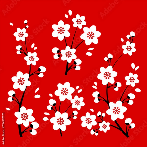 Fototapeta Set of cherry blossom branches and vine tree flowers on traditional red background