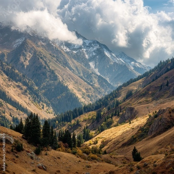 Fototapeta Mountain landscape of snow-capped mountains in the mist.

