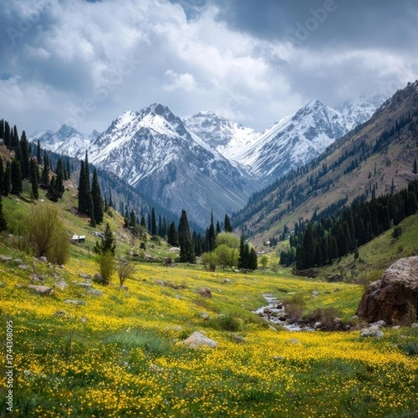 Fototapeta Mountain landscape of snow-capped mountains in the mist.

