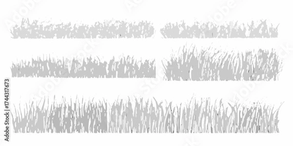 Fototapeta Collection of abstract stylized grass borders in various lengths and densities on a white background