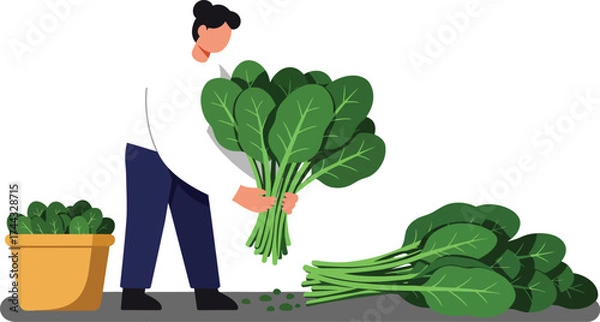 Fototapeta Man holding fresh green spinach leaves with plant pot and spinach pile illustration vector image 