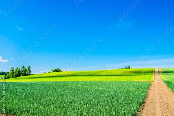 Fototapeta 北海道　笛別