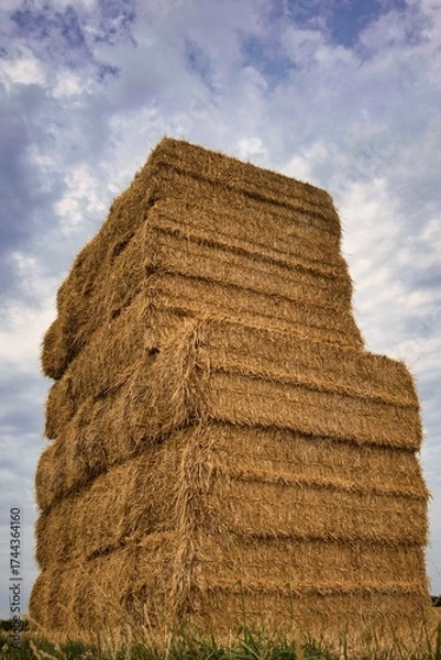 Fototapeta gestapelte heubaallen