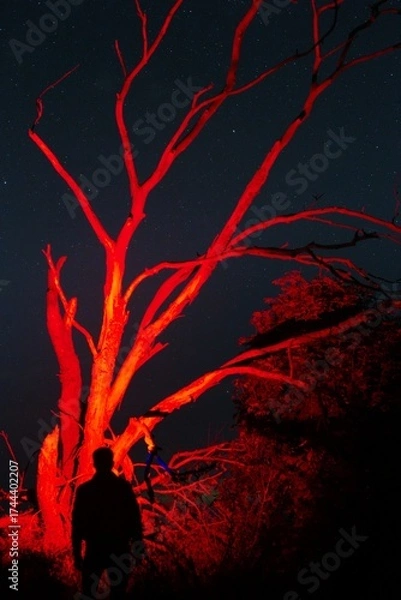 Fototapeta The starry sky against the background of a single tree in a field. Astrophoto