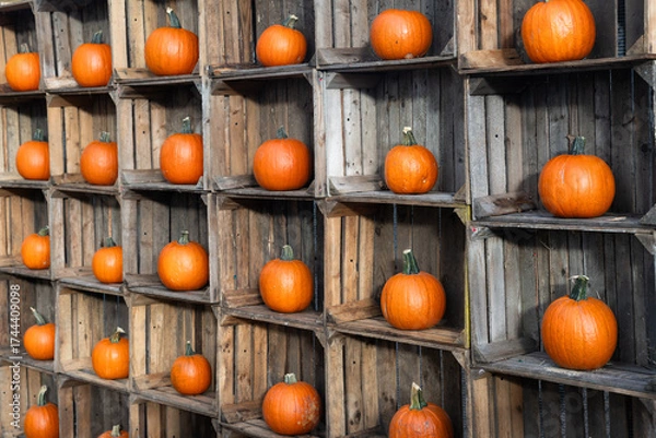 Obraz jesienna dyniowa dekoracja