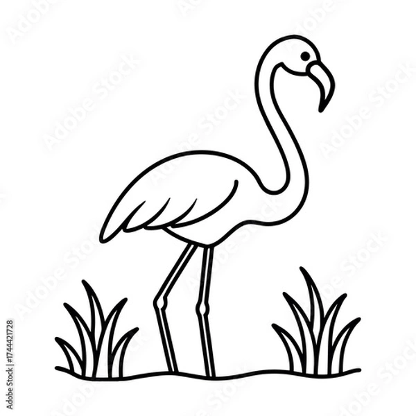 Fototapeta Flamingo standing on one leg with water coloring book vector