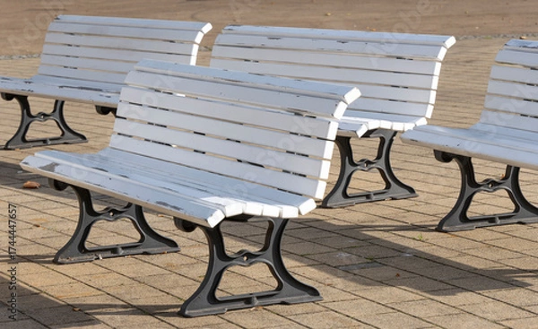 Fototapeta white wooden benches with metal legs arranged in rows on a paved area in soft afternoon sunlight