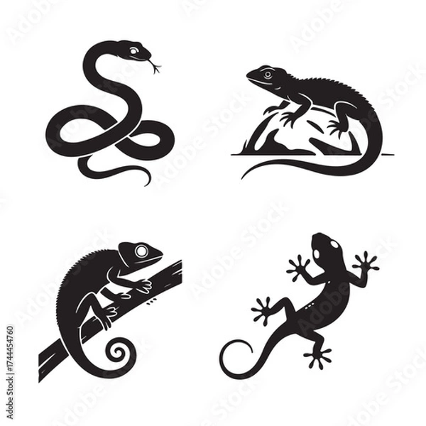 Fototapeta Reptile Collection Snakes & Lizards