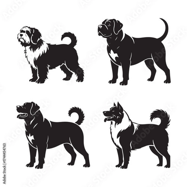 Fototapeta Clam and Oyster Shell Icons in Black and White