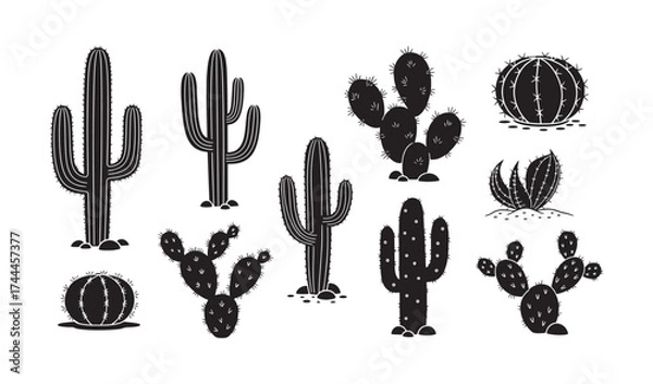 Obraz Set of Cactus Design Silhouette Vector Illustration