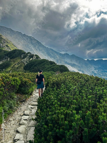 Obraz hiking in the mountains