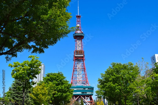 Obraz 札幌の街並み