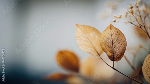 Fototapeta Delicate dried leaves with vein patterns, blurred background. The beauty of autumn with warm, earthy tones and delicate details of the foliage. The shallow depth of field adds a soft, dreamy quality.