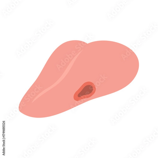 Obraz フチが赤く抉れている舌