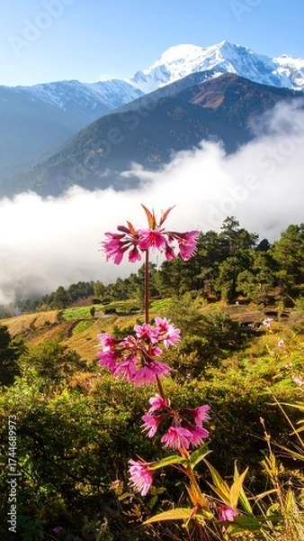 Obraz Pink flowers mountain view