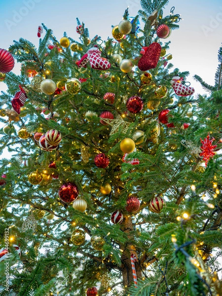 Fototapeta 光きらめく聖夜の木