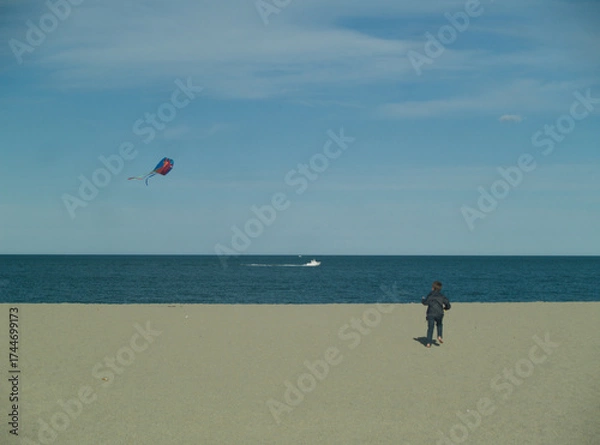 Obraz Kite over the Sea