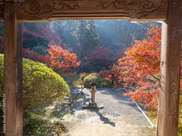 Obraz 朝もやに映える秋の庭