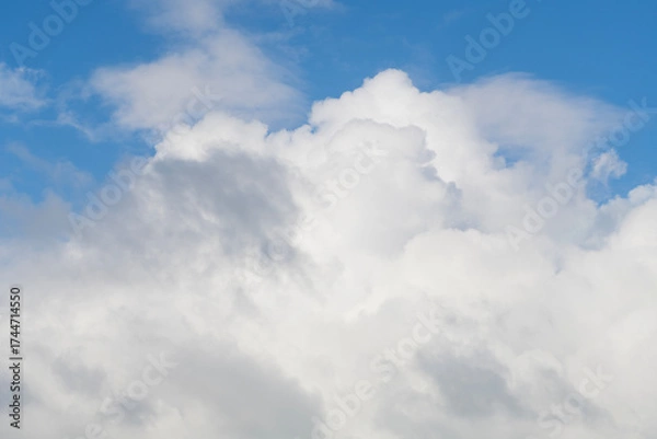 Obraz Cloud in the sky. Background with cloud. Gloomy sky with overcast clouds. Skyscape and cloudscape. Sky with clouds. Cloudy skyscape background. Cloudscape background. Wide sky