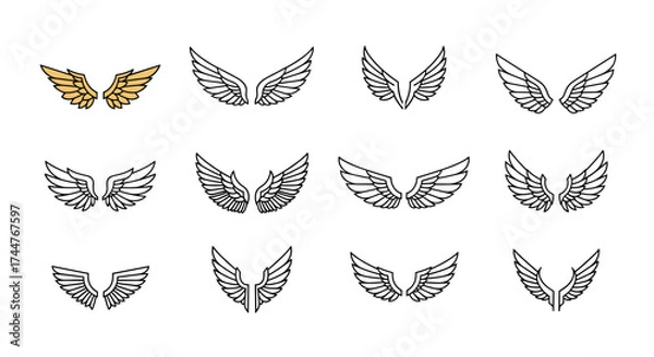 Fototapeta A collection of twelve different artistic representations of avian wings in various styles and mediums.