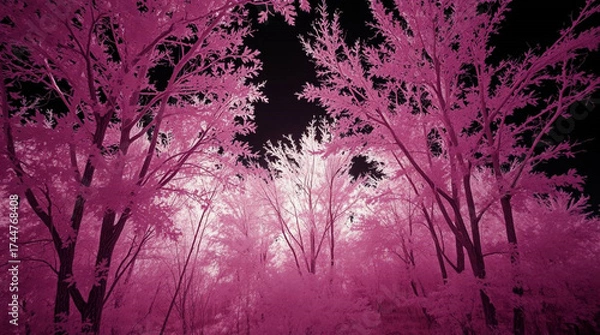 Obraz grunge background with flowers