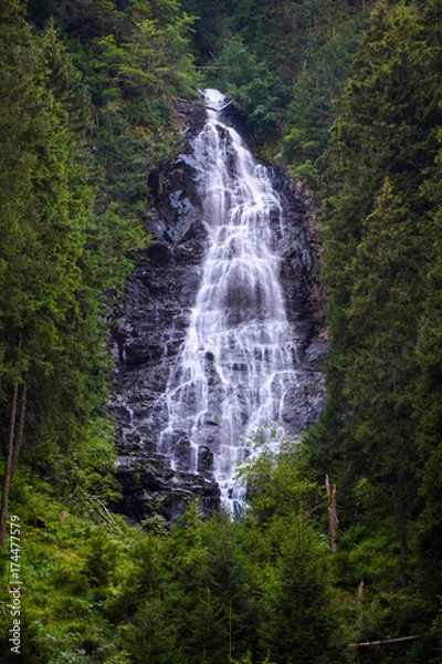 Fototapeta Waterfall and rocks covered with moss in the forest
