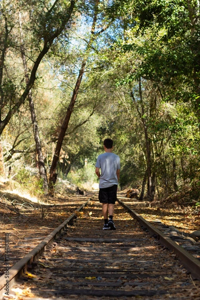 Fototapeta Young Person Walks Along Unused Railway Tracks in a Forested Area on a Sunny Day in Autumn