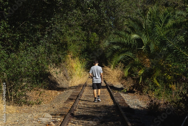 Fototapeta Man Walks Along Overgrown Railway Tracks Surrounded by Lush Greenery in a Serene Outdoor Setting