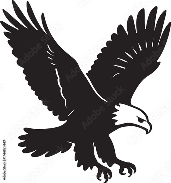 Fototapeta Silhouette of a bald eagle in flight isolated on white background