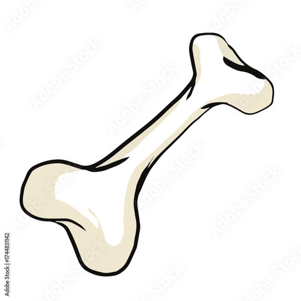 Fototapeta HALLOWEN BONES HORROR VECTOR