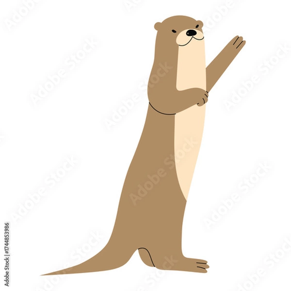 Fototapeta Otter Single 4 cute on a White background, vector illustration.